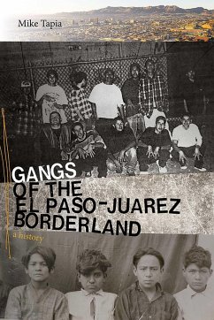 Gangs of the El Paso-Juárez Borderland (eBook, ePUB) Cover Gangs of the El Paso-Juárez Borderland (eBook, ePUB)