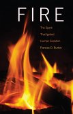 Fire (eBook, ePUB)