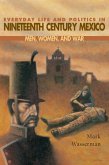 Everyday Life and Politics in Nineteenth Century Mexico (eBook, ePUB)
