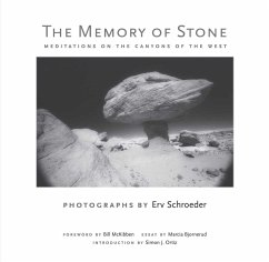 Cover The Memory of Stone (eBook, ePUB)