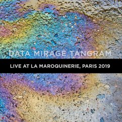 Data Mirage Tangram Live At La Maroquinerie 2019 - Young Gods,The