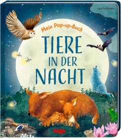 Mein Pop-up-Buch - Tiere in der Nacht - Davies, Becky