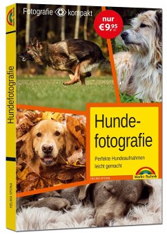 Hundefotografie - das perfekte Hunde Foto - Spona, Helma