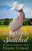 Amish Baby Snatched (The Bishop's Daughters, #1) (eBook, ePUB)