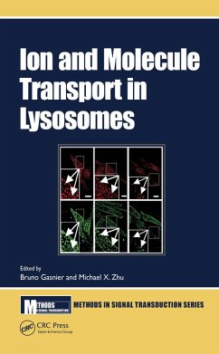 Cover Ion and Molecule Transport in Lysosomes (eBook, ePUB)
