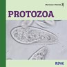 Protozoa - Bild 1