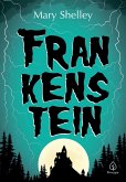 Frankenstein (eBook, ePUB)