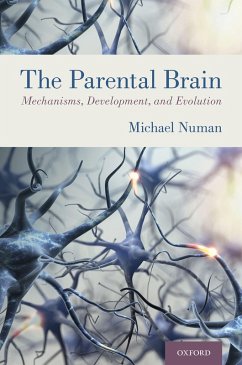 The Parental Brain (eBook, PDF) - Numan, Michael