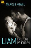 Liam: en stund på jorden (eBook, ePUB)