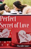 Perfect secret of love (eBook, ePUB)