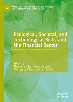 Ecological, Societal, and Technological Risks and the Financial Sector (eBook, PDF)