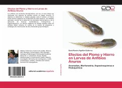 Efectos del Plomo y Hierro en Larvas de Anfíbios Anuros - Aguillón-Gutiérrez, David Ramiro