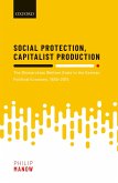 Social Protection, Capitalist Production (eBook, ePUB)