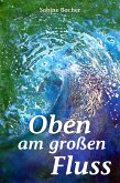 Oben am großen Fluss (eBook, ePUB)