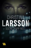 Socialgrupp noll (eBook, ePUB)