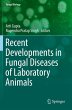 Recent Developments in Fungal Diseases... - Bild 1