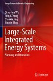 Large-Scale Integrated Energy Systems