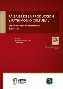 Paisajes de la producción y patrimonio cultural: Estudios sobre el patrimonio industrial (eBook, PDF) - Gomez Ayala, Maria Isabel