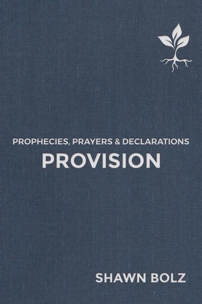 Provision (eBook, ePUB)
