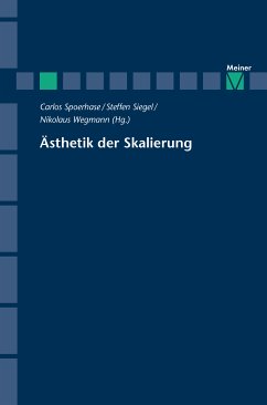 Ästhetik der Skalierung (eBook, PDF)