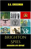Brighton Spies (eBook, ePUB)