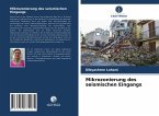 Mikrozonierung des seismischen Eingangs