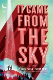 It Came from the Sky (eBook, ePUB)