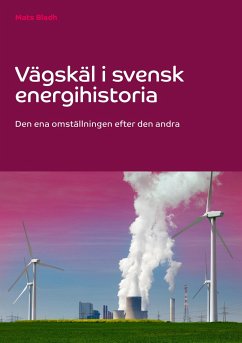 Vägskäl i svensk energihistoria - Bladh, Mats