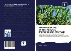 JeKONOMIChESKAYa JeFFEKTIVNOST' PROIZVODSTVA KUKURUZY - Tukela, Bealu