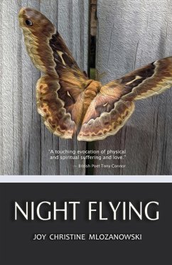 Night Flying - Mlozanowski, Joy Christine