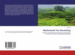 Mechanized Tea Harvesting - Kitur, Lily