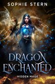 Hidden Mage (Dragon Enchanted, #1) (eBook, ePUB)