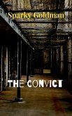 The Convict (eBook, ePUB)