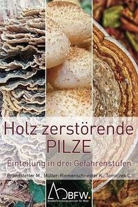 Holz zerstörende Pilze