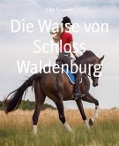 Die Waise von Schloss Waldenburg (eBook, ePUB)
