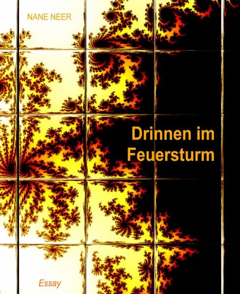 Drinnen im Feuersturm (eBook, ePUB) Drinnen im Feuersturm (eBook, ePUB)