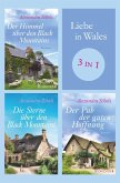 Liebe in Wales (eBook, ePUB)