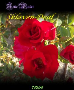 Sklaven-Deal (eBook, ePUB) - Winter, Rene