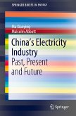 China¿s Electricity Industry