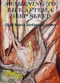 Awakening to Life after a Deep Sleep (fixed-layout eBook, ePUB)