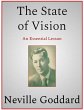 The State of Vision (eBook, ePUB) - Bild 1