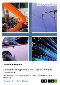 Stockende Energiewende und Digitalisierung in Deutschland (eBook, ePUB)