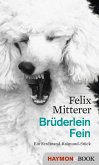 Brüderlein Fein (eBook, ePUB)
