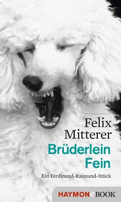 Brüderlein Fein (eBook, ePUB) - Mitterer, Felix