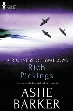 A Richness of Swallows - Barker, Ashe
