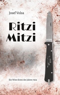 Ritzi Mitzi (eBook, ePUB) - Volsa, Josef