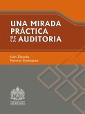 Una mirada práctica de la auditoría (eBook, PDF)