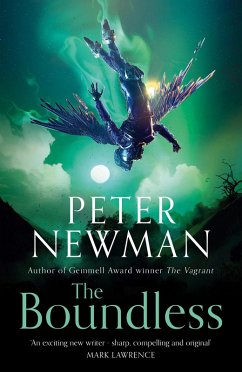 The Boundless (eBook, ePUB) - Newman, Peter