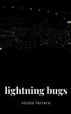 Lightning Bugs (eBook, ePUB) Lightning Bugs (eBook, ePUB)