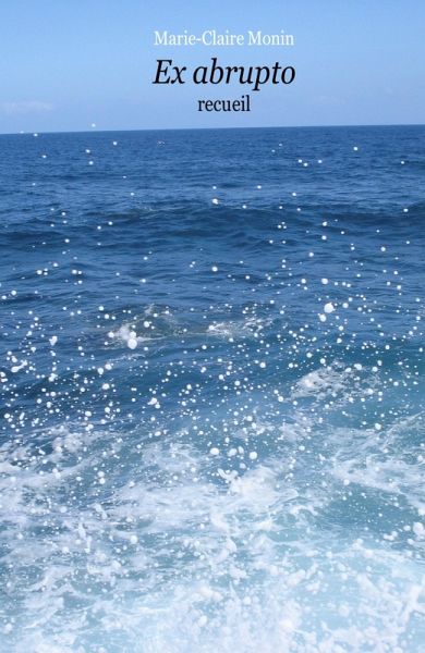 Ex abrupto (eBook, ePUB)